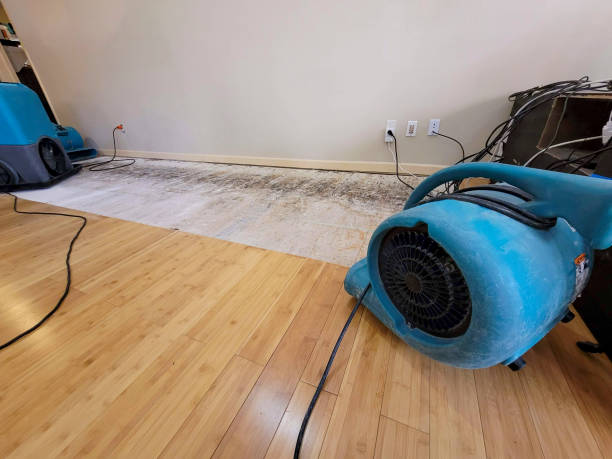 Professional Water Removal technician working in Chichester, NH